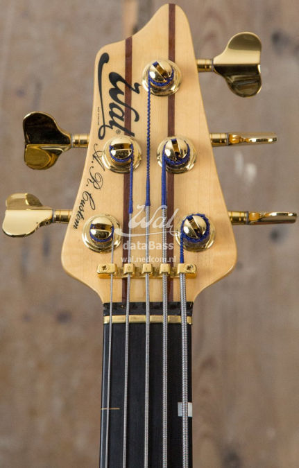 W2694.headstock-front.jpg