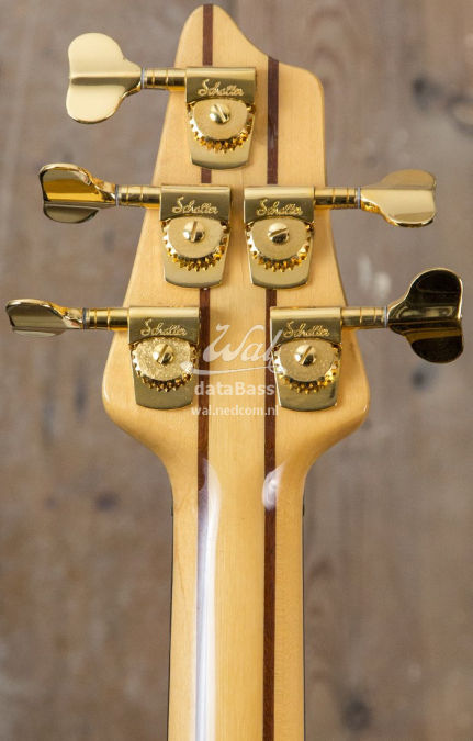 W2694.headstock-rear.jpg