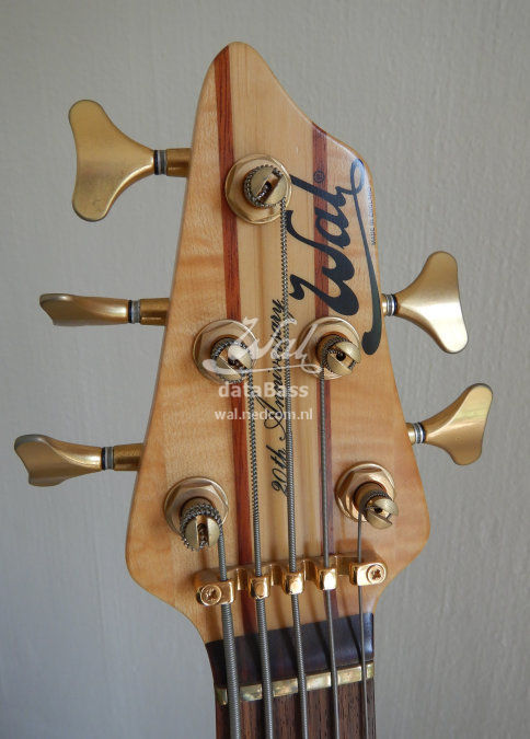 W2698.headstock-front.jpg