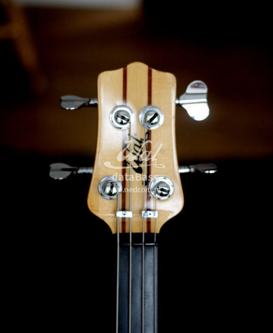 W2716.headstock-front.jpg