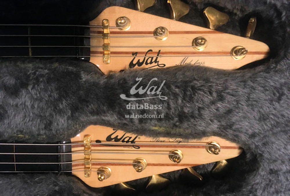 W2783.headstock-front.jpg