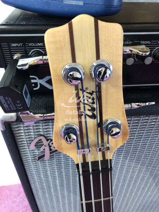 W2845.headstock-front.jpg