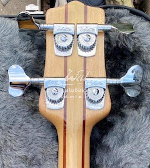 W2856.headstock-rear.jpg