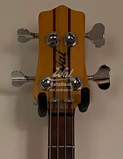 W2894.headstock-front.jpg