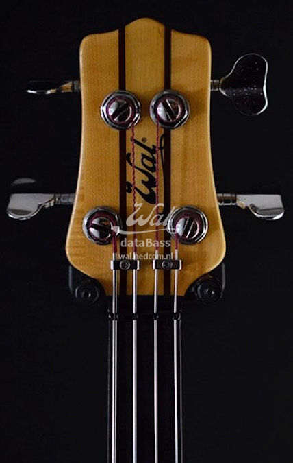 W2900(A).headstock-front.jpg