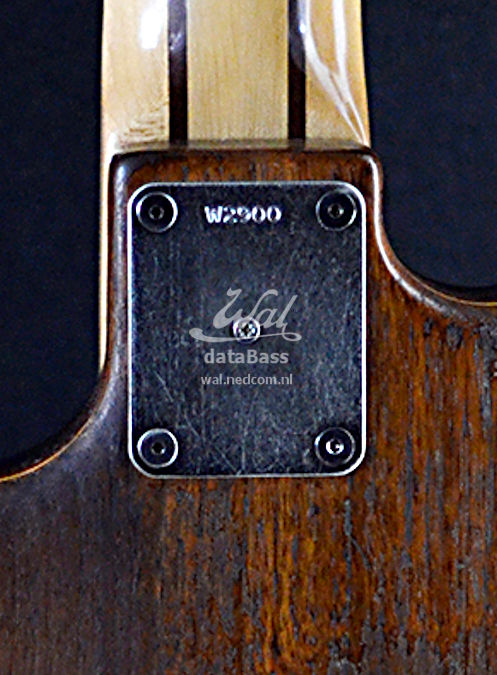 W2900(A).neckplate.jpg