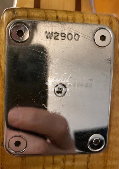 W2900.neckplate.jpg