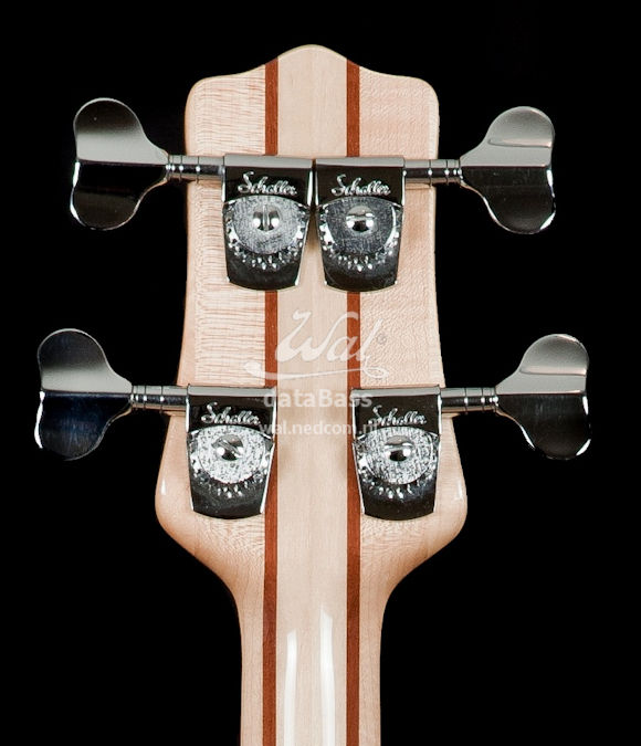 W2920.headstock-rear.jpg