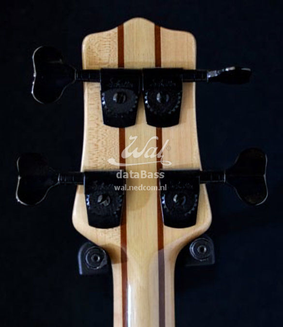 W2921.headstock-rear.jpg