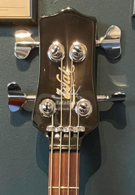 W3016.headstock-front.jpg