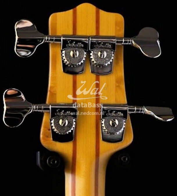 W3059.headstock-rear.jpg