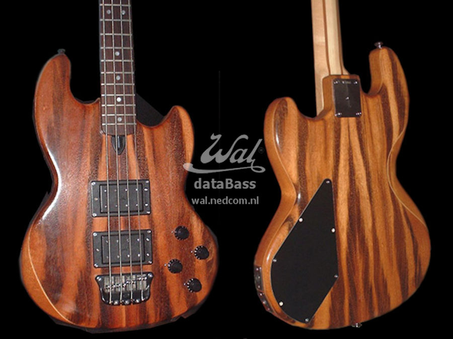 W3066.body.jpg