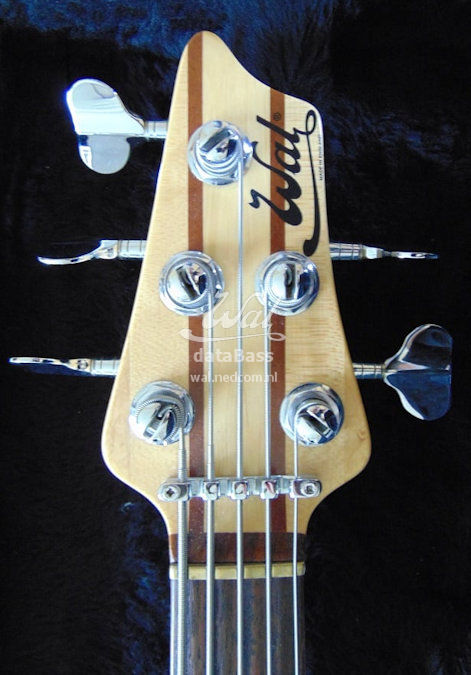 W3074.headstock-front.jpg