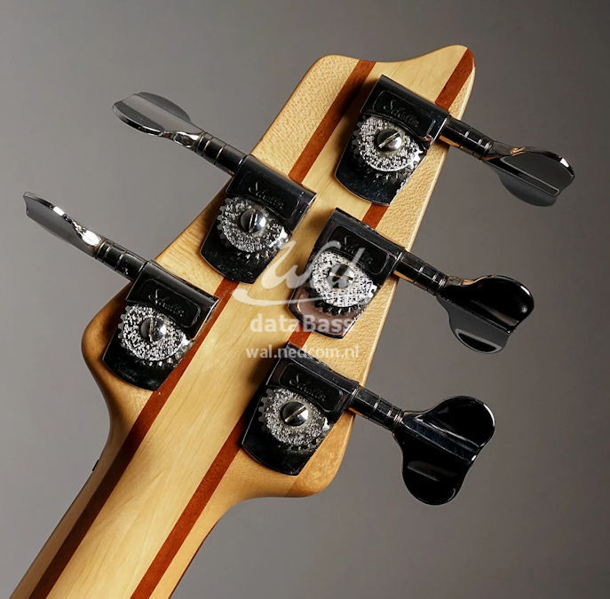 W3074.headstock-rear.jpg