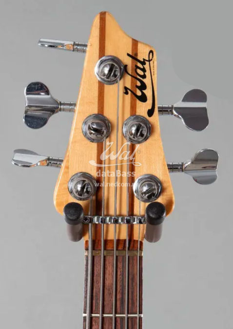 W3087.headstock-front.jpg