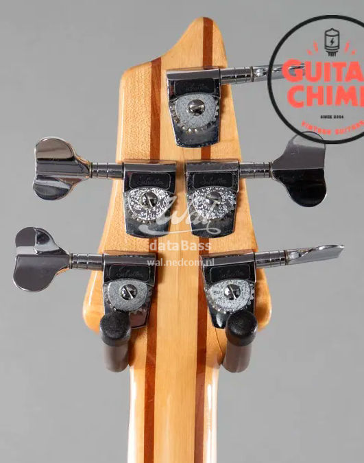 W3087.headstock-rear.jpg