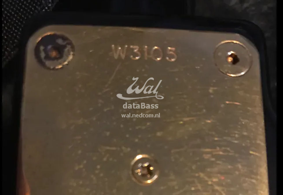 W3105.neckplate.jpg