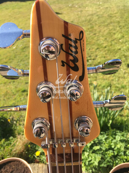 W3114.headstock-front.jpg