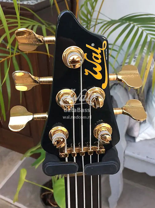 W3155.headstock-front.jpg