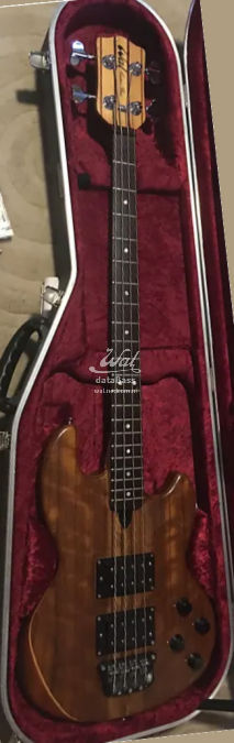 W3170.in-case-fretted.jpg