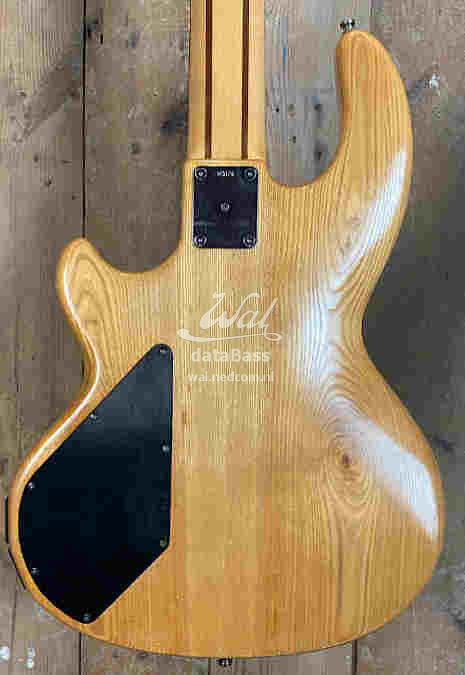 W3176.body-rear.jpg