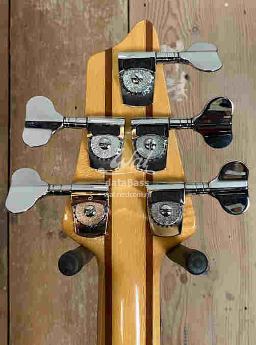 W3176.headstock-rear.jpg