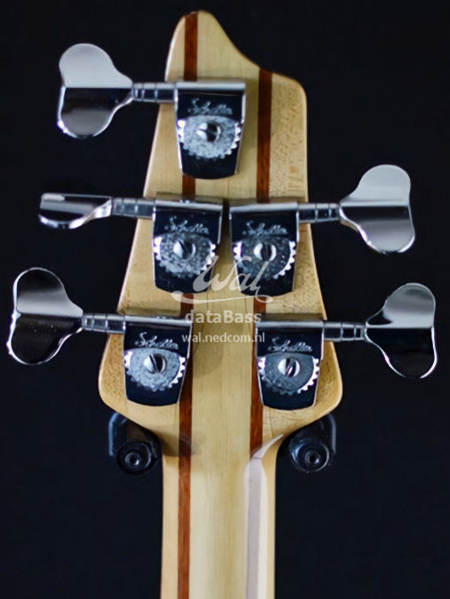 W3179.headstock-rear.jpg