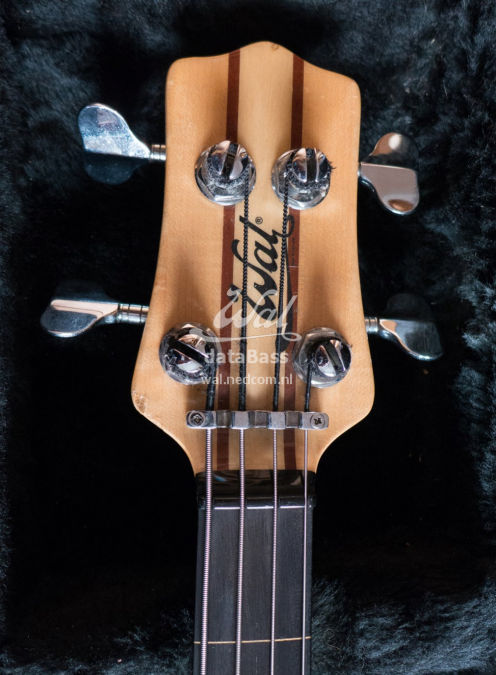 W3195.headstock-front.jpg