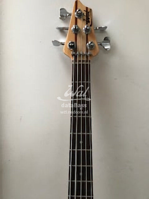 W3304.headstock-front.jpg