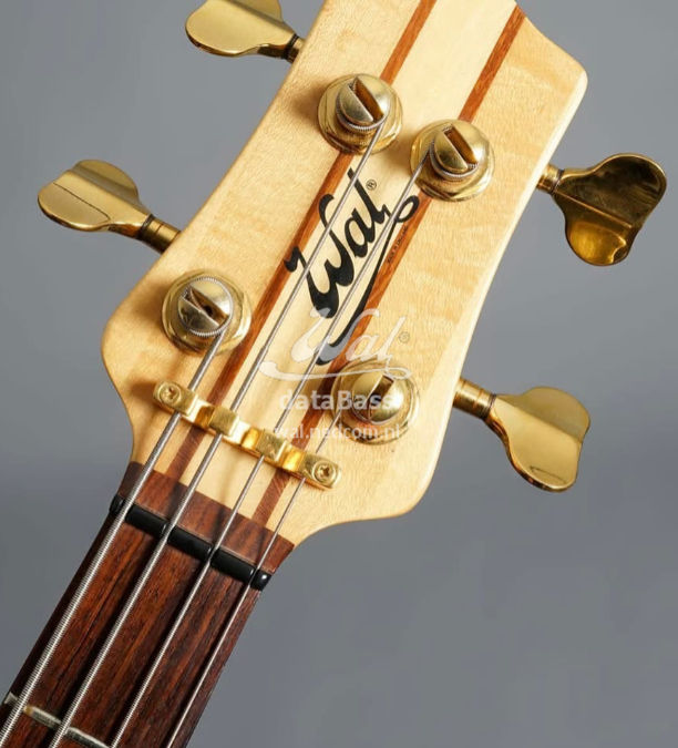 W3329.headstock-front.jpg