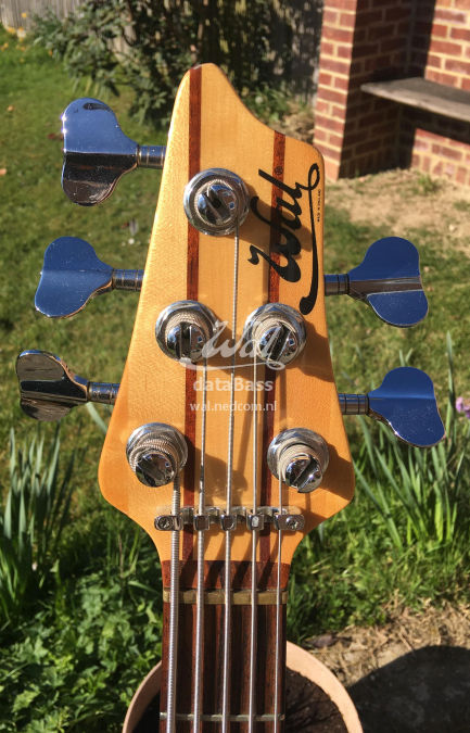 W3439.headstock-front.jpg