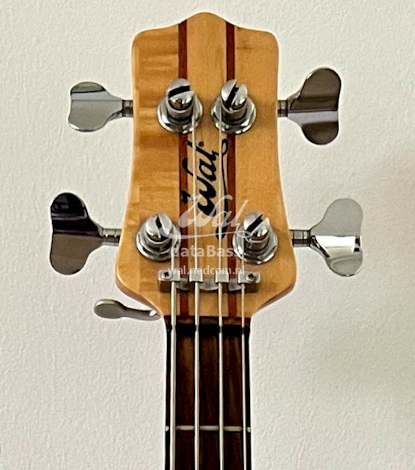 W3447.headstock-front.jpg