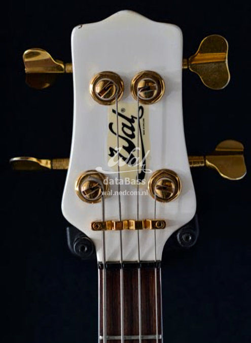 W3457.headstock-front.jpg