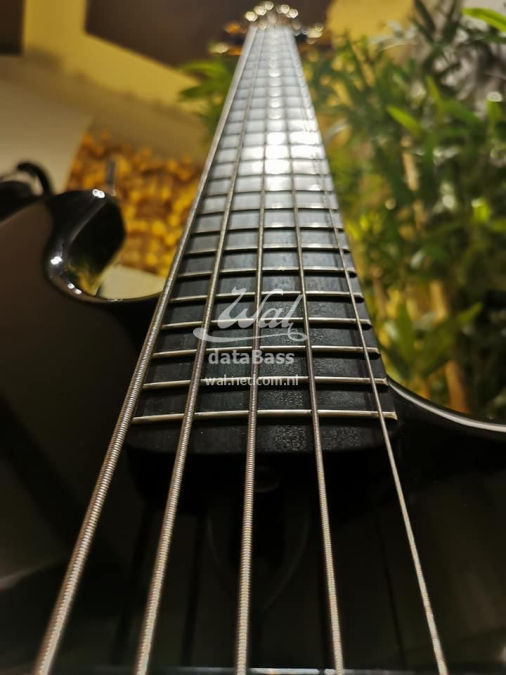 W3462.fretboard.jpg