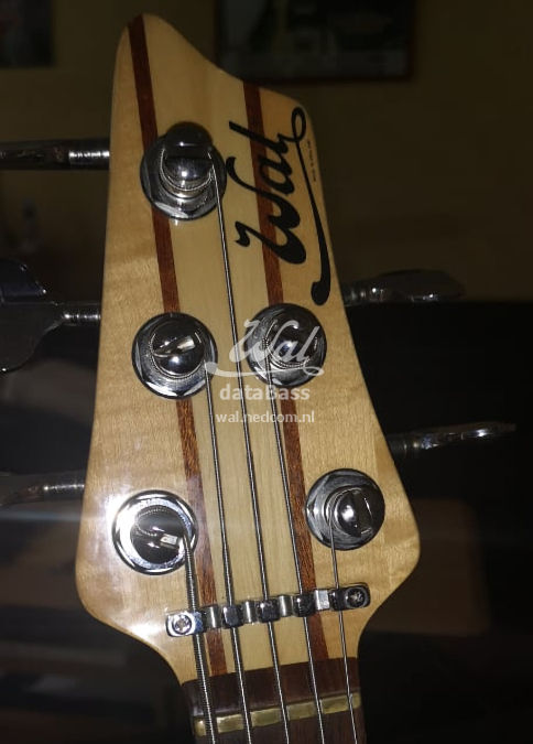 W3494.headstock-front.jpg