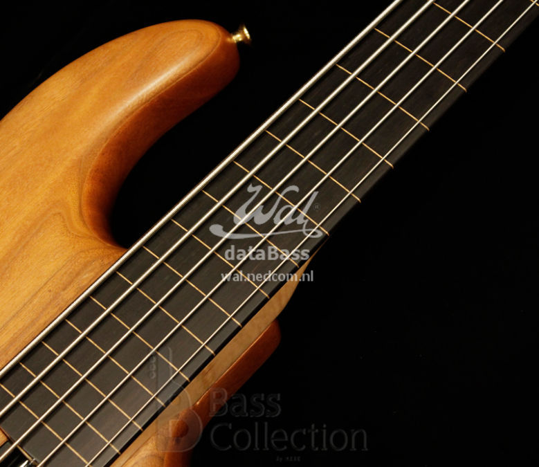 W3501.fretboard.jpg