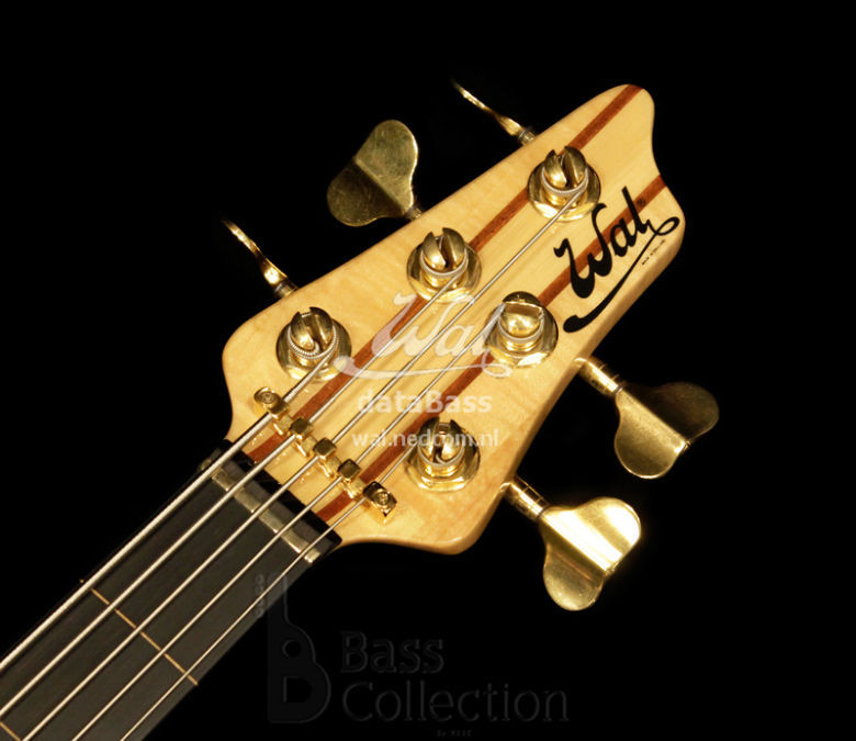 W3501.headstock.jpg