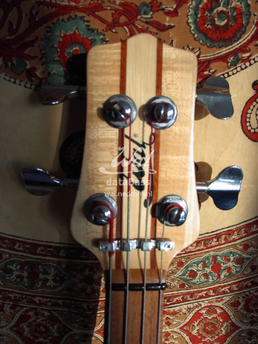 W3557.headstock-front.jpg