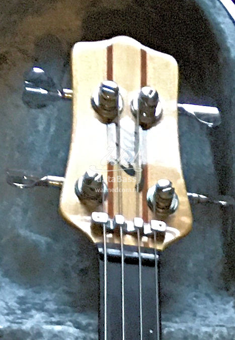 W3598.headstock-front.jpg