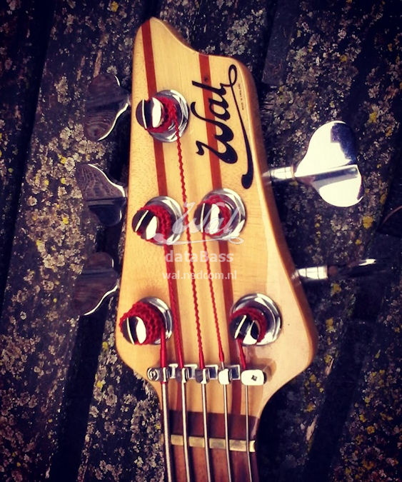 W3631.headstock-front.jpg