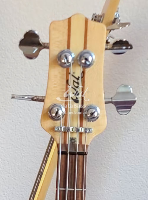 W3638.headstock-front.jpg