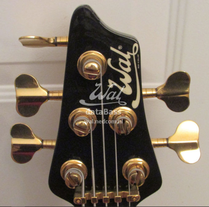 W3641.headstock.jpg