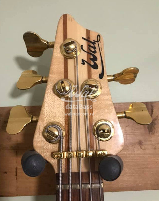 W3645.headstock-front.jpg