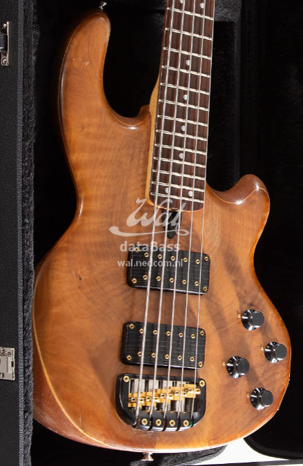 W3649.body-front.jpg