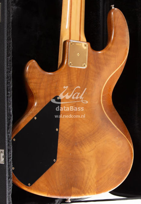 W3649.body-rear.jpg