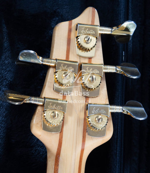 W3649.headstock-rear.jpg