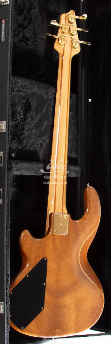W3649.rear.jpg