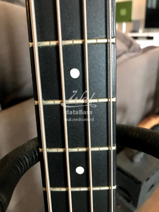 W3651.fretboard.jpg