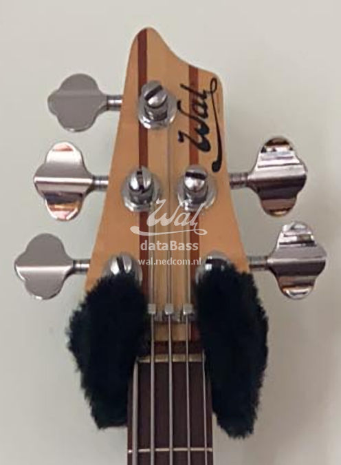 W3671.headstock-front.jpg