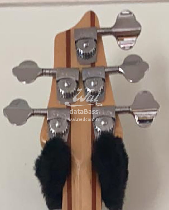 W3671.headstock-rear.jpg